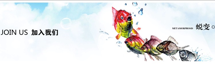 Ӎ�W��˾��������? �ȴ��㹲���x����